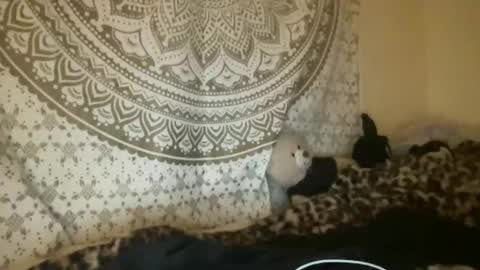 ur dream girl online show from 04/09/26, 02:55