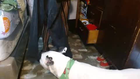 dreamreal online show from 02/08/26, 12:08