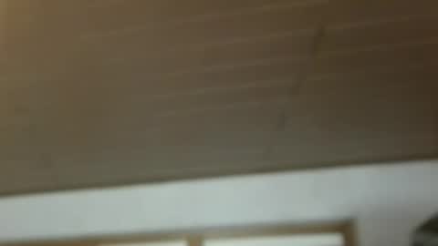 Snapshot of dreambob chatting on 12/21/25, 11:17 Dreambob online show from 12/21/25, 11:17