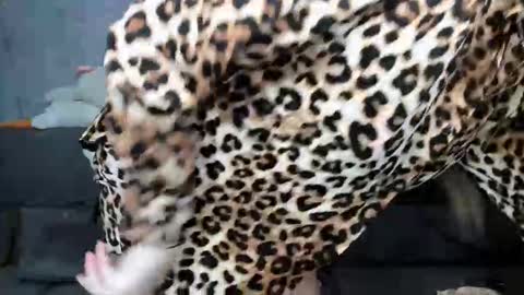 Snapshot of dreamesoul chatting on 11/07/25, 11:32 dreamesoul online show from 11/07/25, 11:32