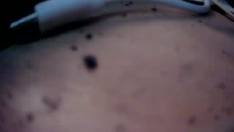 Snapshot of dreamy2020 chatting on 01/22/25, 04:12 dreamy2020 online show from 01/22/25, 04:12