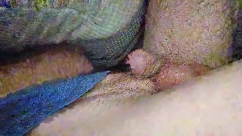 Snapshot of drew8649890274 chatting on 11/03/25, 03:41 drew8649890274 online show from 11/03/25, 03:41