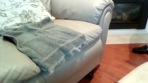 drexx1x online show from 12/24/24, 01:16