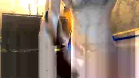 Snapshot of drippydickboy chatting on 01/13/26, 06:02 drippydickboy online show from 01/13/26, 06:02