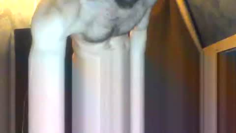 Snapshot of drippydickboy chatting on 02/05/26, 09:19 drippydickboy online show from 02/05/26, 09:19