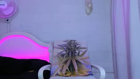 Snapshot of drippyorlove chatting on 11/05/25, 08:31 drippyorlove online show from 11/05/25, 08:31