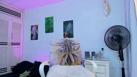 drippyorlove online show from 02/24/26, 05:55