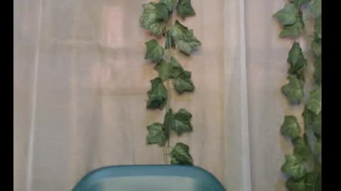 Snapshot of dripqueenx chatting on 09/29/25, 12:21 linda online show from 09/29/25, 12:21