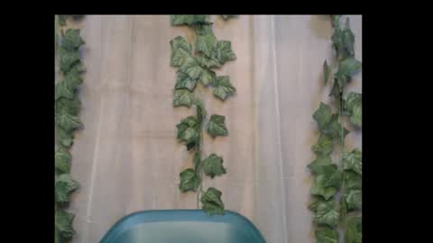 Snapshot of dripqueenx chatting on 10/06/25, 02:09 linda online show from 10/06/25, 02:09