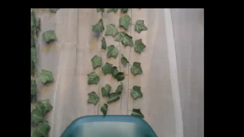 Snapshot of dripqueenx chatting on 10/08/25, 11:57 linda online show from 10/08/25, 11:57