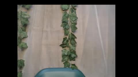 Snapshot of dripqueenx chatting on 10/15/25, 12:55 linda online show from 10/15/25, 12:55
