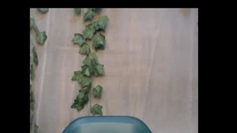 Snapshot of dripqueenx chatting on 10/18/25, 09:59 linda online show from 10/18/25, 09:59
