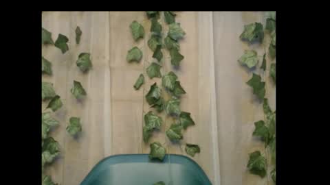 Snapshot of dripqueenx chatting on 10/26/25, 11:31 linda online show from 10/26/25, 11:31