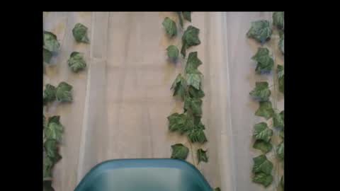 Snapshot of dripqueenx chatting on 10/31/25, 01:39 linda online show from 10/31/25, 01:39