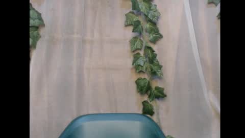 Snapshot of dripqueenx chatting on 11/12/25, 01:50 linda online show from 11/12/25, 01:50