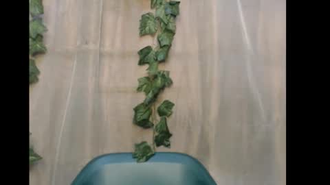 Snapshot of dripqueenx chatting on 12/15/25, 10:52 linda online show from 12/15/25, 10:52