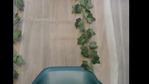 Snapshot of dripqueenx chatting on 12/21/25, 12:18 linda online show from 12/21/25, 12:18