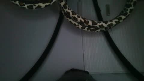 Snapshot of drolyts chatting on 02/25/26, 03:05 drolyts online show from 02/25/26, 03:05