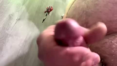 Snapshot of droppingloads82 chatting on 12/30/24, 04:53 droppingloads82 online show from 12/30/24, 04:53