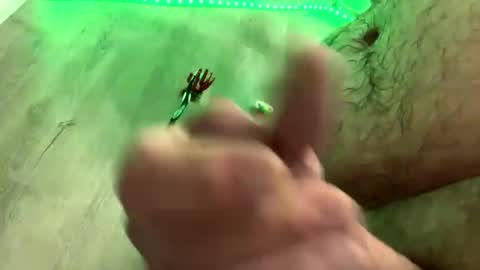 Snapshot of droppingloads82 chatting on 01/01/25, 05:43 droppingloads82 online show from 01/01/25, 05:43