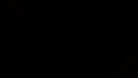 ds_80 online show from 01/26/25, 10:45