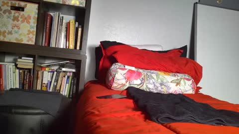 Snapshot of dsexordium chatting on 02/05/25, 10:22 dsexordium online show from 02/05/25, 10:22