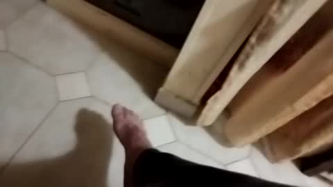 dthedog12 online show from 11/08/25, 10:30