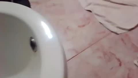 dthedog12 online show from 11/21/25, 11:58