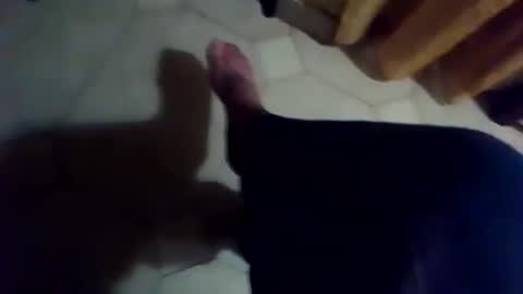 dthedog12 online show from 11/25/25, 06:41