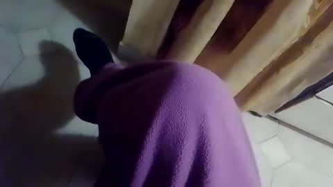 dthedog12 online show from 02/10/26, 09:41