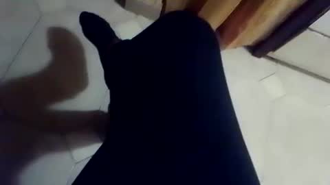 dthedog12 online show from 03/02/26, 02:35