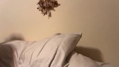 ducebabydee online show from 02/05/26, 05:56