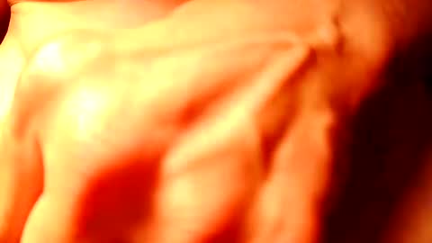 Snapshot of duh541228490531 chatting on 02/08/25, 06:43 nomadjon online show from 02/08/25, 06:43