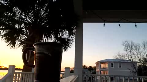 duke_lordly online show from 03/11/25, 11:26