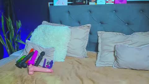 Snapshot of dulce_celeste15 chatting on 02/06/25, 01:05 C E L E S T E online show from 02/06/25, 01:05