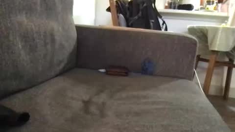 dulcemelo online show from 03/17/26, 05:05