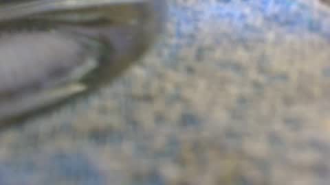 dunany101 online show from 11/02/25, 11:51