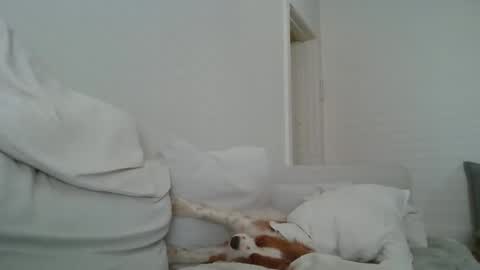 Snapshot of dustyroy09 chatting on 02/14/25, 01:45 dustyroy09 online show from 02/14/25, 01:45