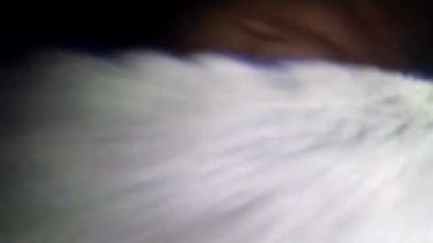 duvanarleyy online show from 10/16/25, 06:36