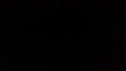 dveinz online show from 02/22/26, 12:23