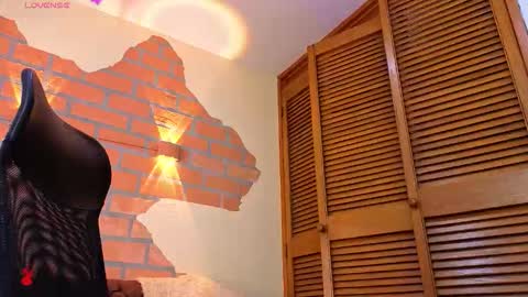 D Y L A N online show from 12/21/25, 09:33