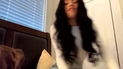 Snapshot of dynasty313 chatting on 12/17/24, 08:54 Dynasty online show from 12/17/24, 08:54