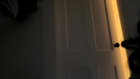 Snapshot of dynasty313 chatting on 10/14/25, 09:59 Dynasty online show from 10/14/25, 09:59