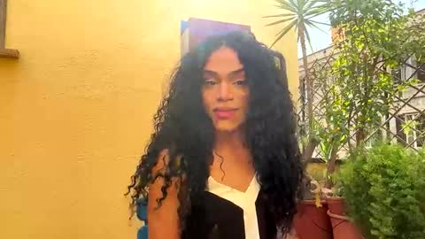 Dynasty online show from 03/24/26, 02:22