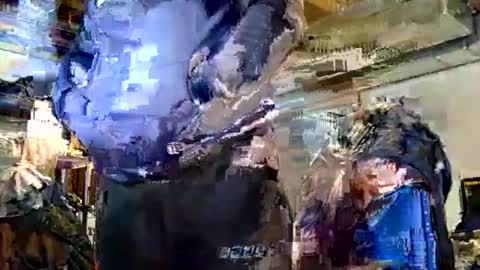 Dywrect online show from 02/15/26, 08:16