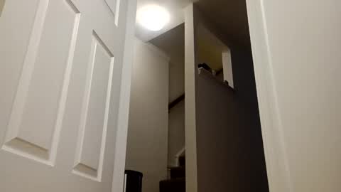 easternjerk online show from 12/16/25, 11:04