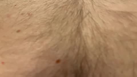 French Guy online show from 04/01/26, 10:40