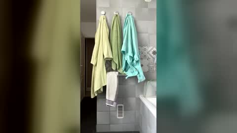 French Guy online show from 04/15/26, 10:44