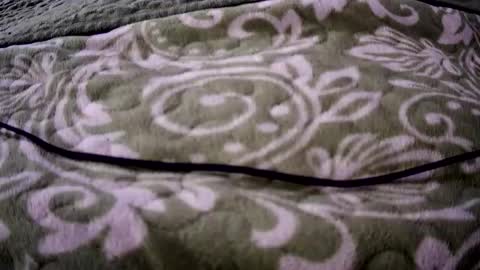 eatermo online show from 04/18/26, 07:34