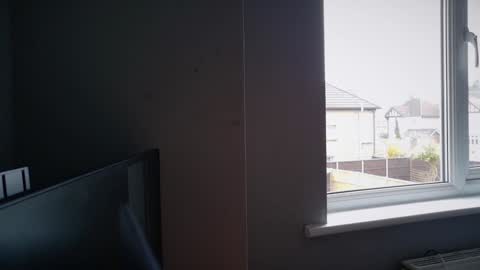 Nadia Ferreira  online show from 03/17/26, 09:12